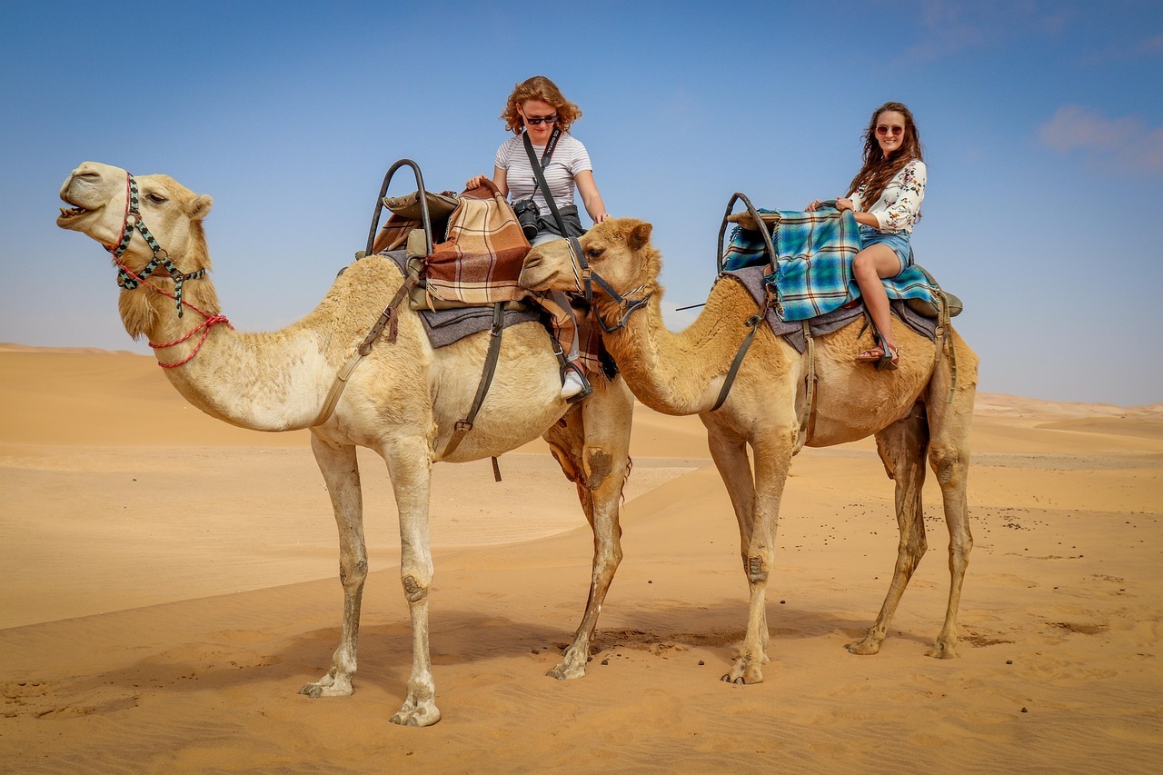 camel rides experience
