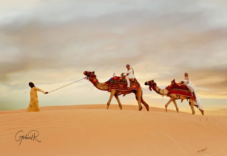 Sunrise camel ride