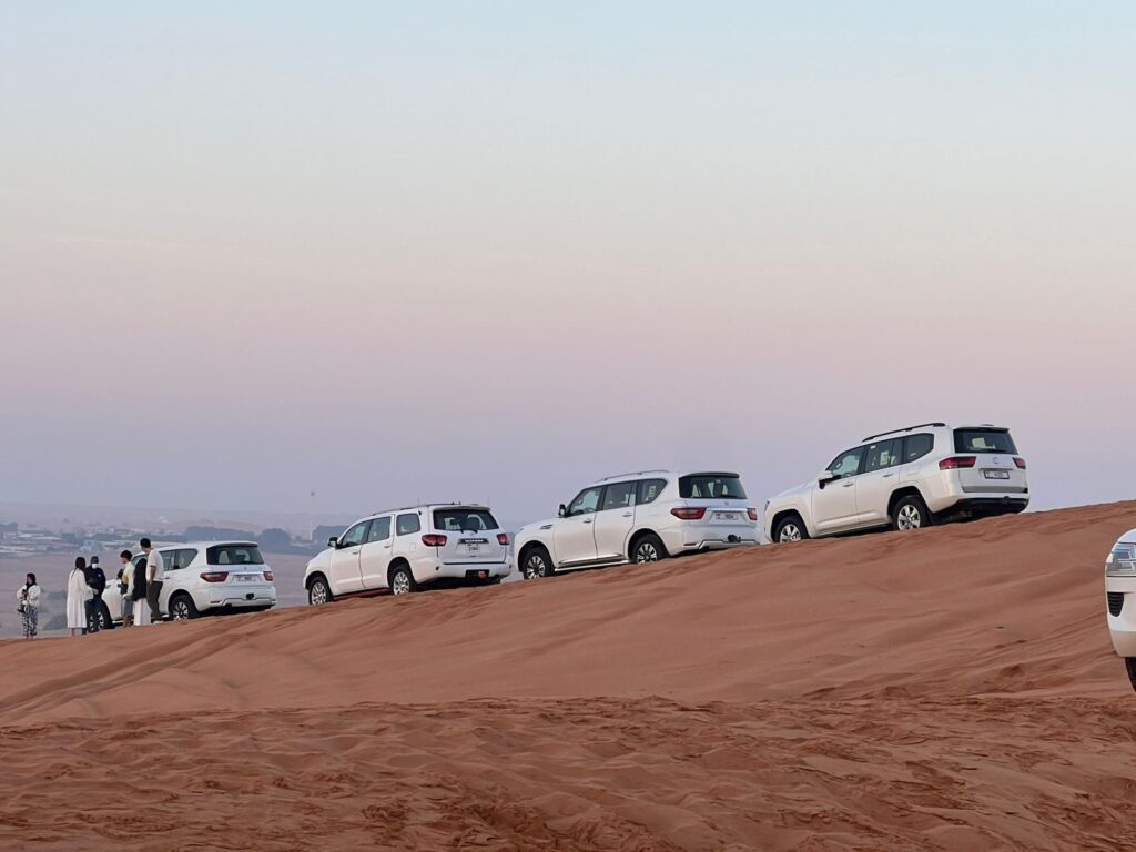 Best Desert Safaris in Dubai