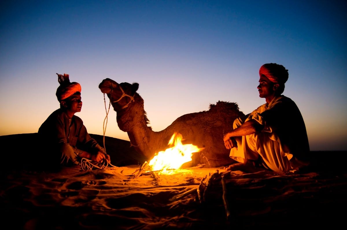 Dubai Camel Ride Tips for a Calm and Fun Experience
