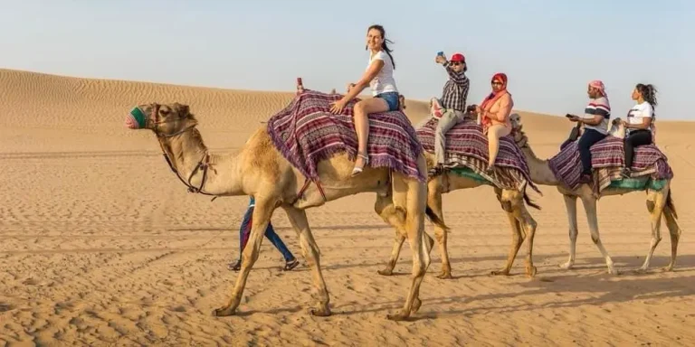 Morning vs Evening Desert Safari Dubai: Which Is Best