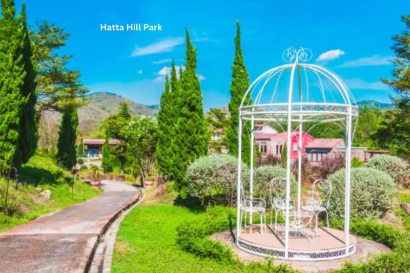 Hatta Hill Park on the Hatta Mountain Tour