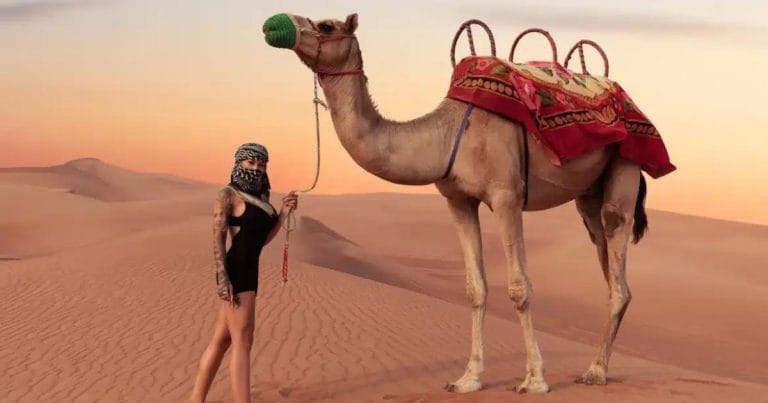 Camel Riding Safari